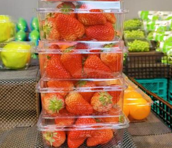 专业的全自动热成型机制造商